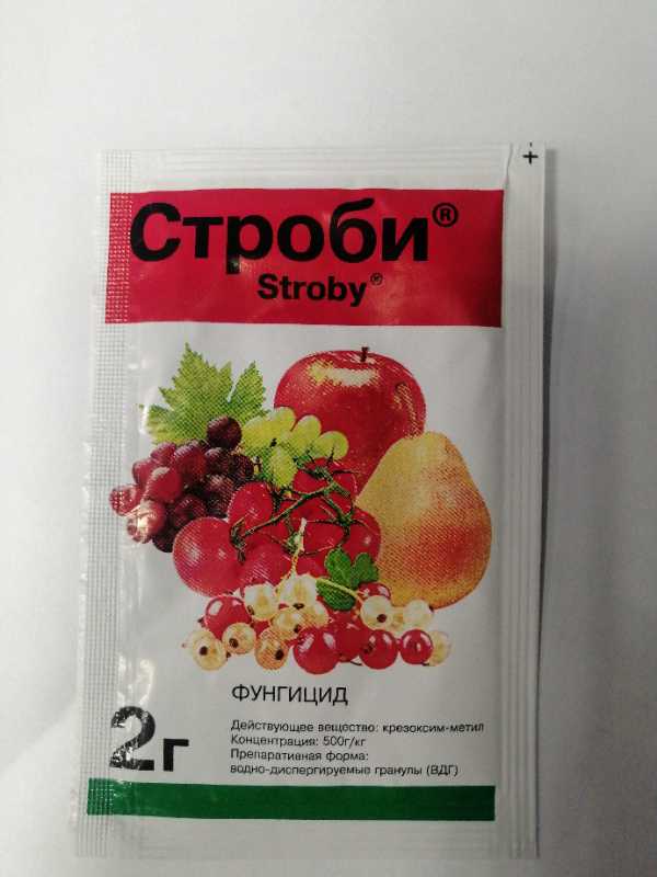 Строби фунгицид